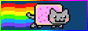 This - is nyan cat This - is nyan cat